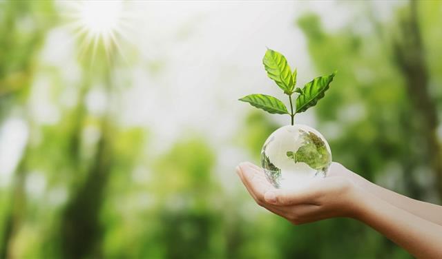 Hub Spotlight - Sustainability